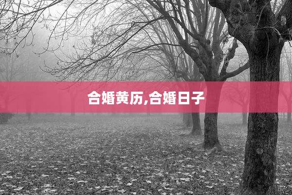 合婚黄历,合婚日子