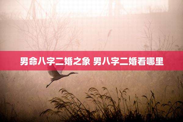 男命八字二婚之象 男八字二婚看哪里