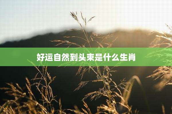 好运自然到头束是什么生肖