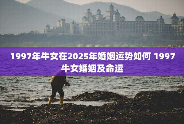 1997年牛女在2025年婚姻运势如何 1997牛女婚姻及命运
