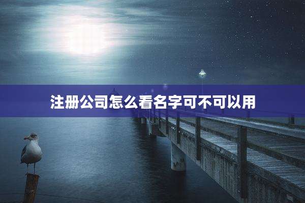 注册公司怎么看名字可不可以用