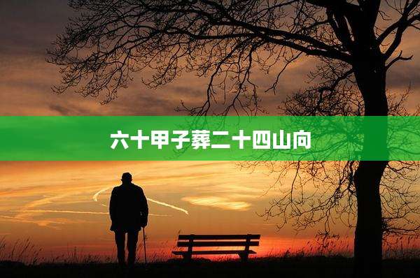 六十甲子葬二十四山向