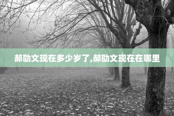 郝劭文现在多少岁了,郝劭文现在在哪里
