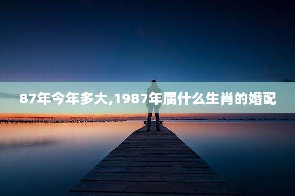 87年今年多大,1987年属什么生肖的婚配