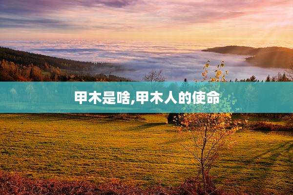 甲木是啥,甲木人的使命