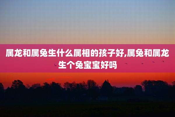 属龙和属兔生什么属相的孩子好,属兔和属龙生个兔宝宝好吗