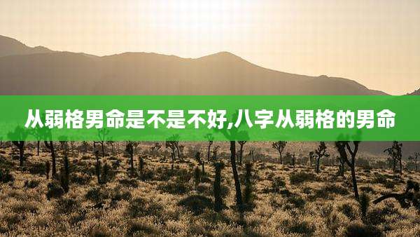 从弱格男命是不是不好,八字从弱格的男命