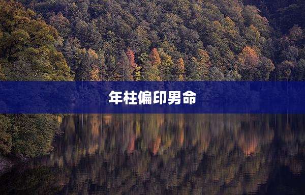 年柱偏印男命