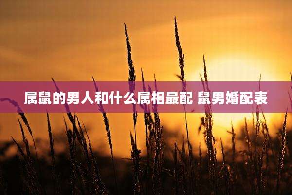 属鼠的男人和什么属相最配 鼠男婚配表