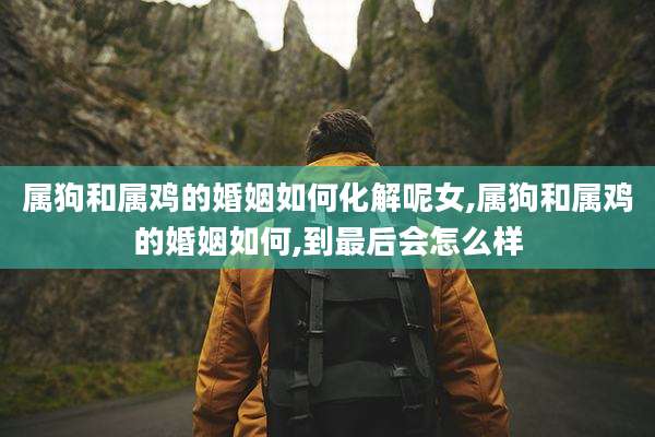 属狗和属鸡的婚姻如何化解呢女,属狗和属鸡的婚姻如何,到最后会怎么样