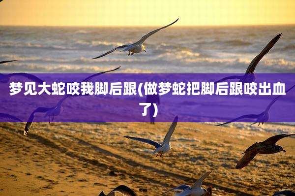 梦见大蛇咬我脚后跟(做梦蛇把脚后跟咬出血了)