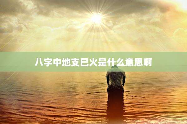 八字中地支巳火是什么意思啊