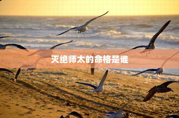灭绝师太的命格是谁
