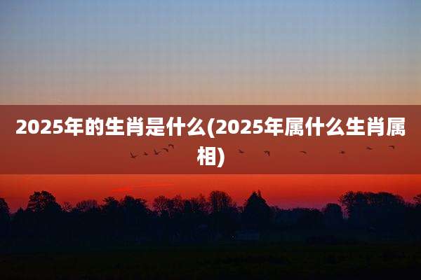 2025年的生肖是什么(2025年属什么生肖属相)