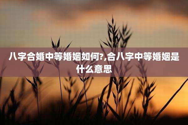 八字合婚中等婚姻如何?,合八字中等婚姻是什么意思