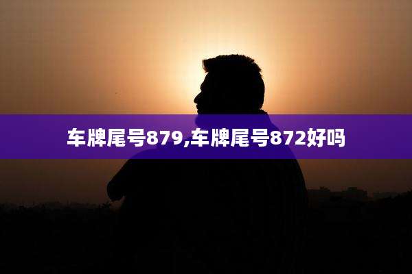 车牌尾号879,车牌尾号872好吗