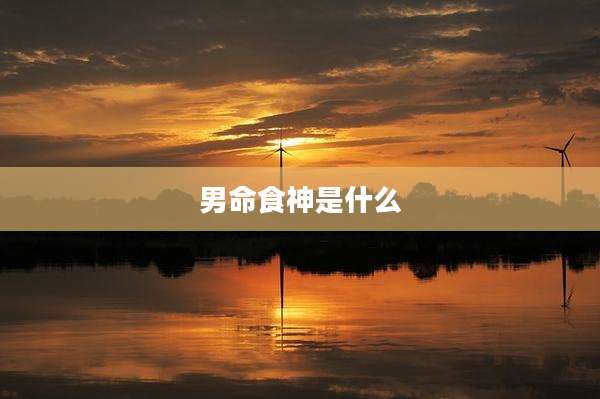 男命食神是什么