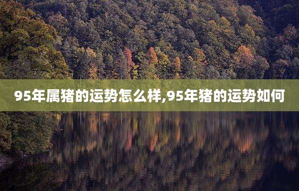 95年属猪的运势怎么样,95年猪的运势如何