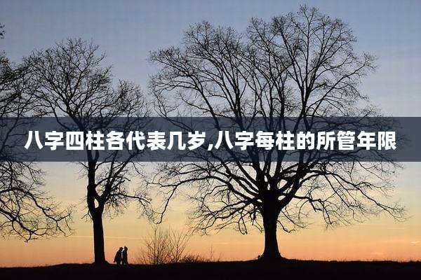 八字四柱各代表几岁,八字每柱的所管年限
