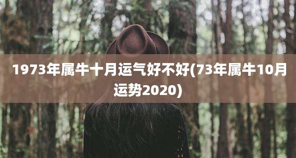 1973年属牛十月运气好不好(73年属牛10月运势2020)