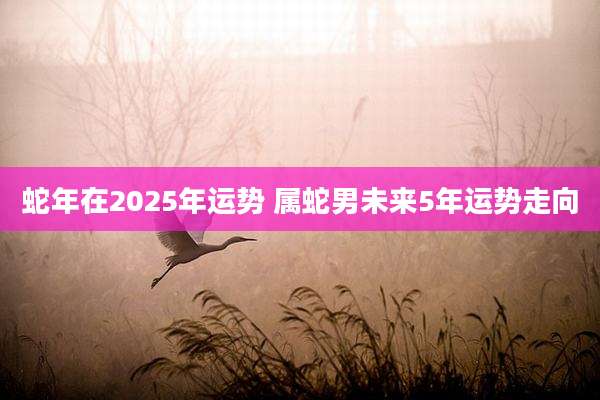 蛇年在2025年运势 属蛇男未来5年运势走向