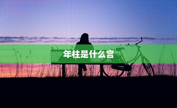 年柱是什么宫