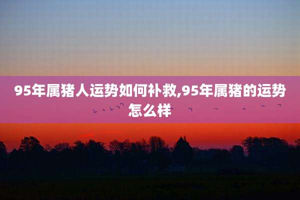 95年属猪人运势如何补救,95年属猪的运势怎么样
