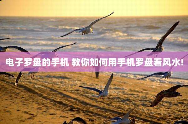 电子罗盘的手机 教你如何用手机罗盘看风水!