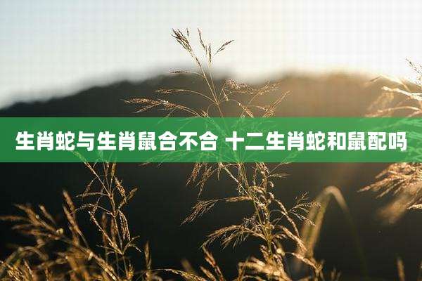 生肖蛇与生肖鼠合不合 十二生肖蛇和鼠配吗