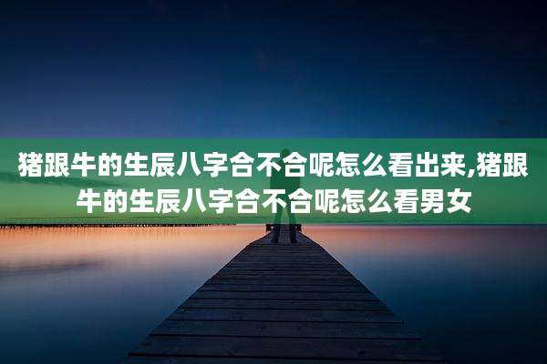 猪跟牛的生辰八字合不合呢怎么看出来,猪跟牛的生辰八字合不合呢怎么看男女