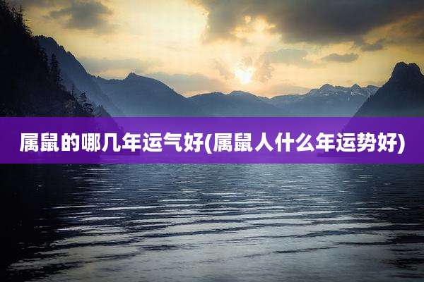 属鼠的哪几年运气好(属鼠人什么年运势好)