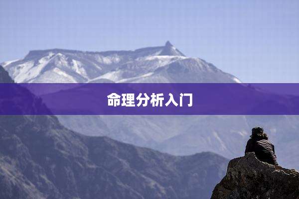 命理分析入门