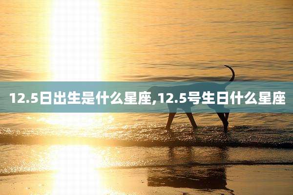 12.5日出生是什么星座,12.5号生日什么星座