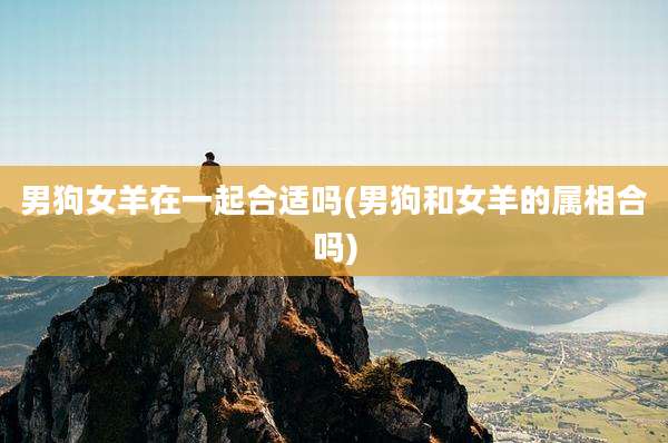 男狗女羊在一起合适吗(男狗和女羊的属相合吗)