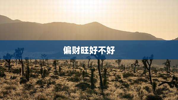 偏财旺好不好