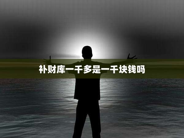 补财库一千多是一千块钱吗