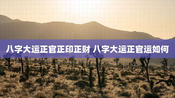 八字大运正官正印正财 八字大运正官运如何