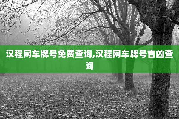 汉程网车牌号免费查询,汉程网车牌号吉凶查询