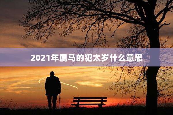 2021年属马的犯太岁什么意思