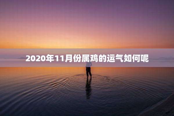 2020年11月份属鸡的运气如何呢