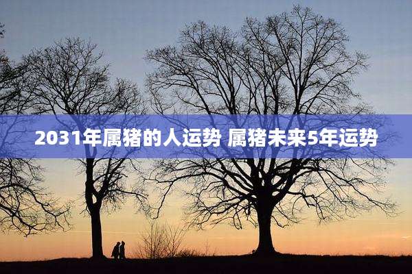 2031年属猪的人运势 属猪未来5年运势