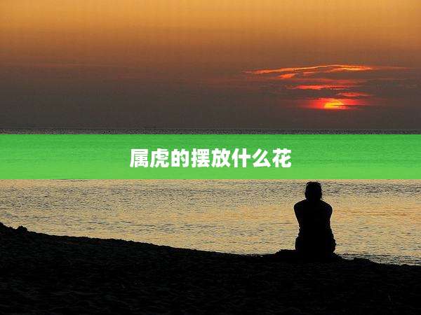 属虎的摆放什么花