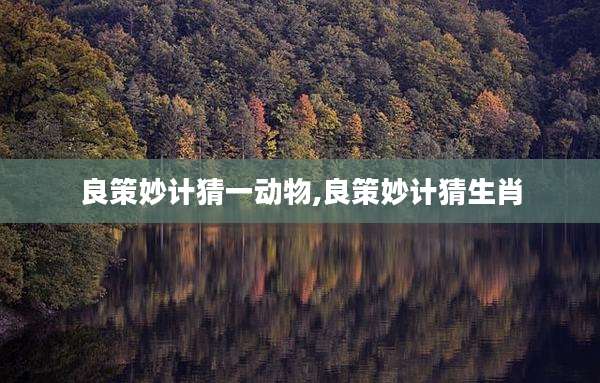 良策妙计猜一动物,良策妙计猜生肖