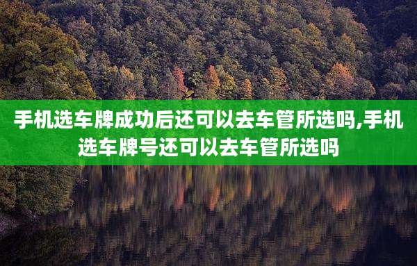 手机选车牌成功后还可以去车管所选吗,手机选车牌号还可以去车管所选吗