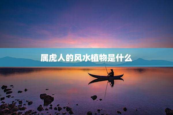 属虎人的风水植物是什么
