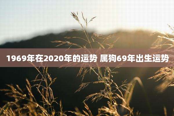 1969年在2020年的运势 属狗69年出生运势