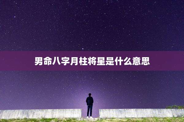 男命八字月柱将星是什么意思