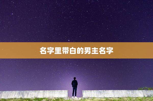 名字里带白的男主名字
