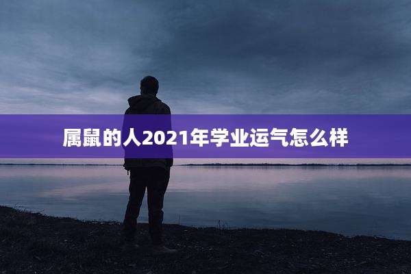 属鼠的人2021年学业运气怎么样