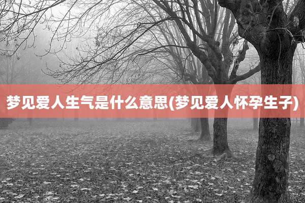 梦见爱人生气是什么意思(梦见爱人怀孕生子)